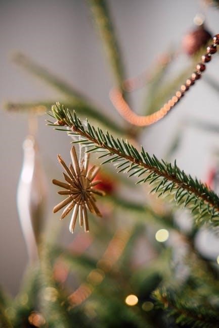 coloriage noël à imprimer pdf
